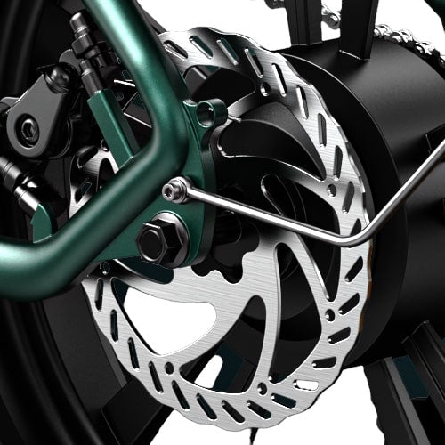 ENGWE M20 - Fatbike - Doppelte Akku - Schwarz