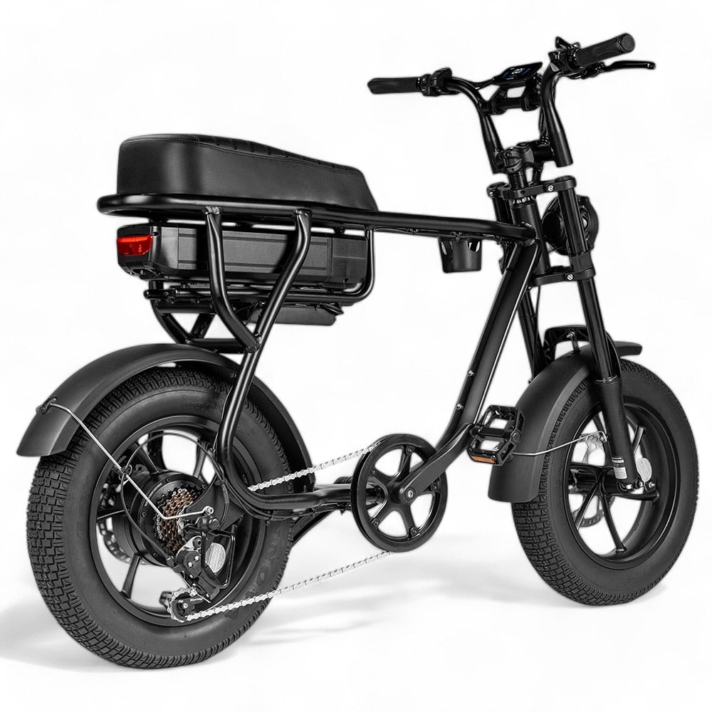 Kinder Fatbike EB16 | Schwarz | Hydraulische Bremsen