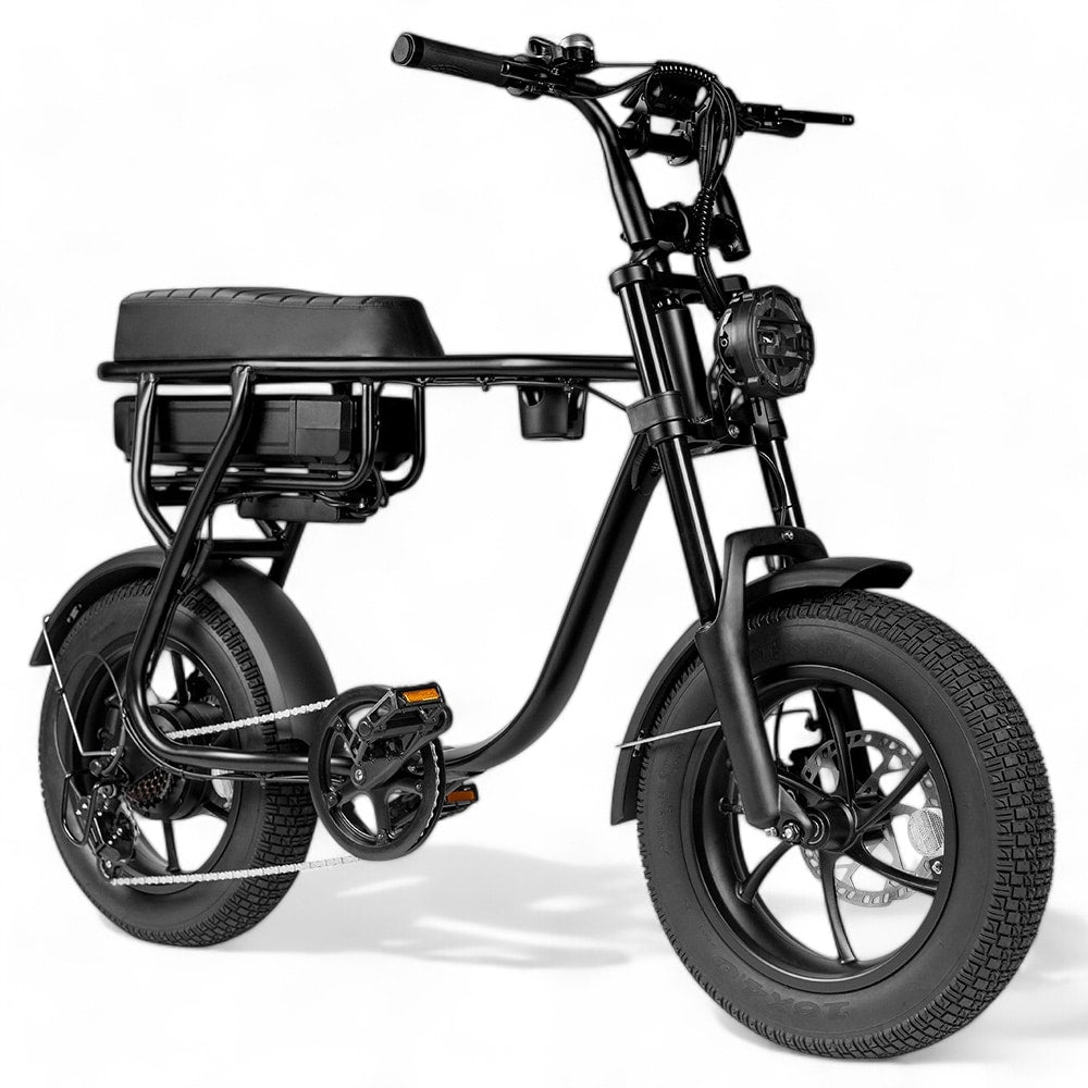 Kinder Fatbike EB16 | Schwarz | Hydraulische Bremsen
