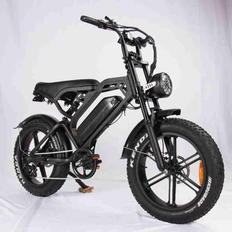 V20 Pro Fatbike