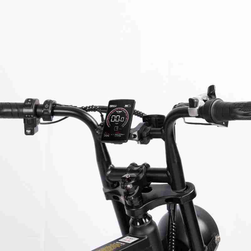 V20 Pro Fatbike