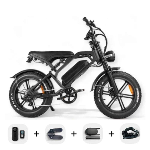 V20 Pro Fatbike