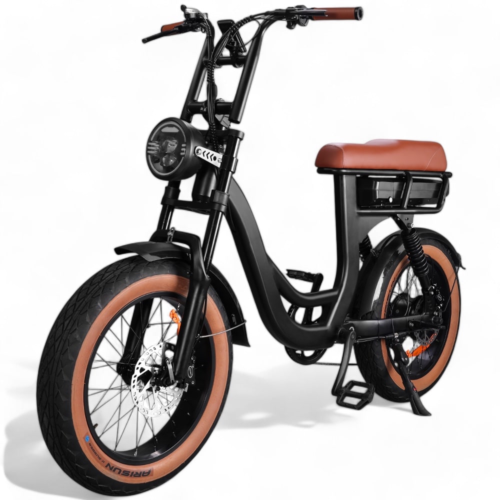 EB8 - Fatbike - Braun