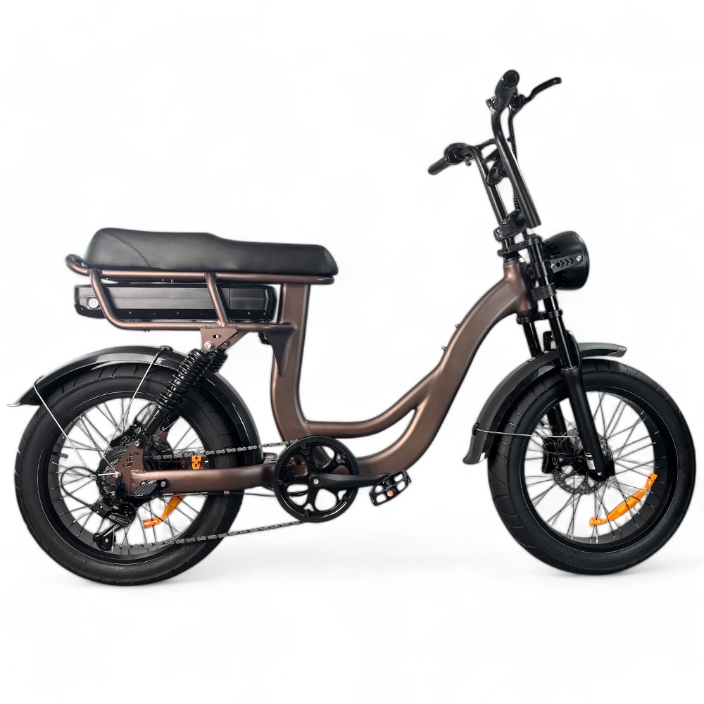 EB8 - Fatbike - Kaffee