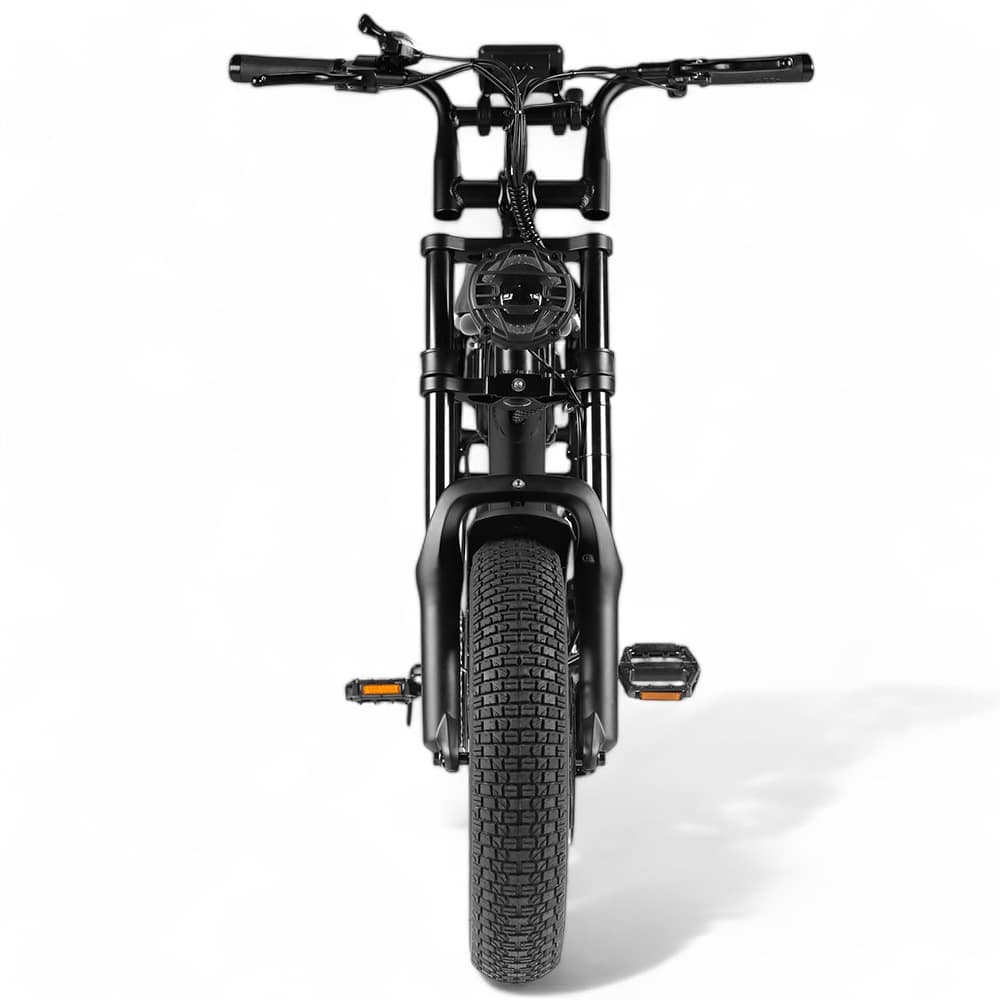 Kinder Fatbike EB16 | Schwarz | Hydraulische Bremsen
