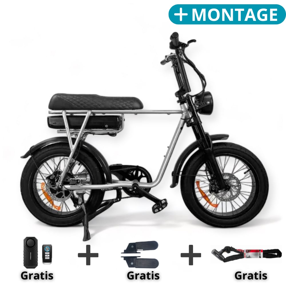 EB2 Fatbike Zilver + Art3 kettingslot + Alarm + Voetsteuntjes