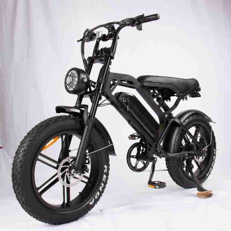 V20 Pro Fatbike