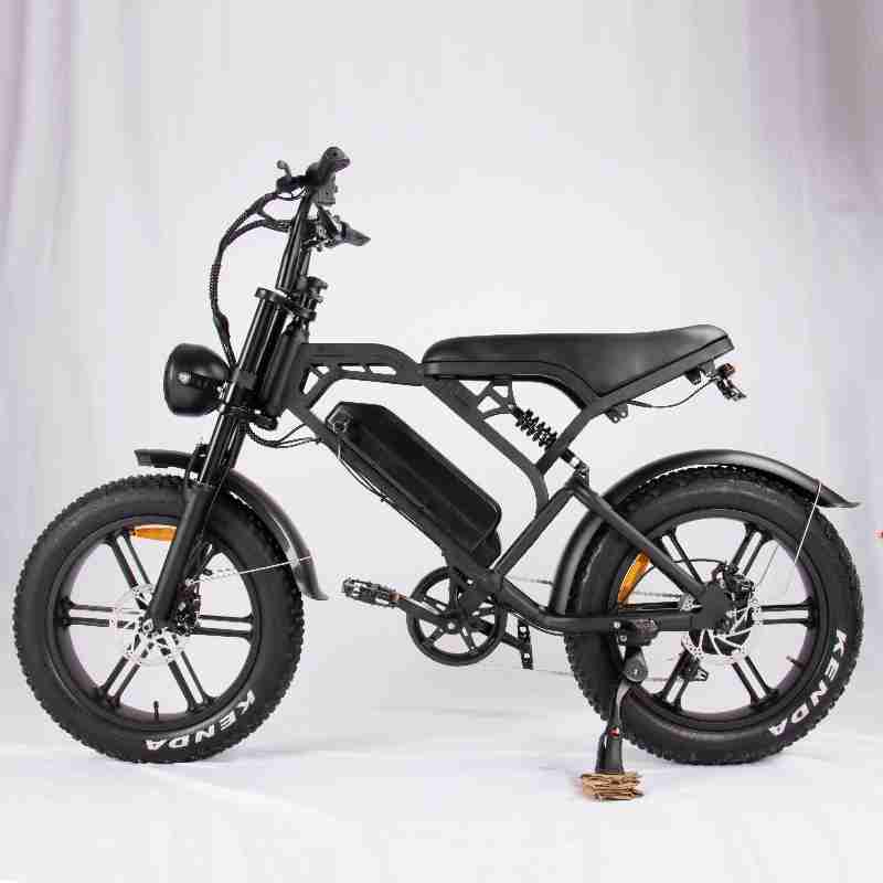 V20 Pro Fatbike