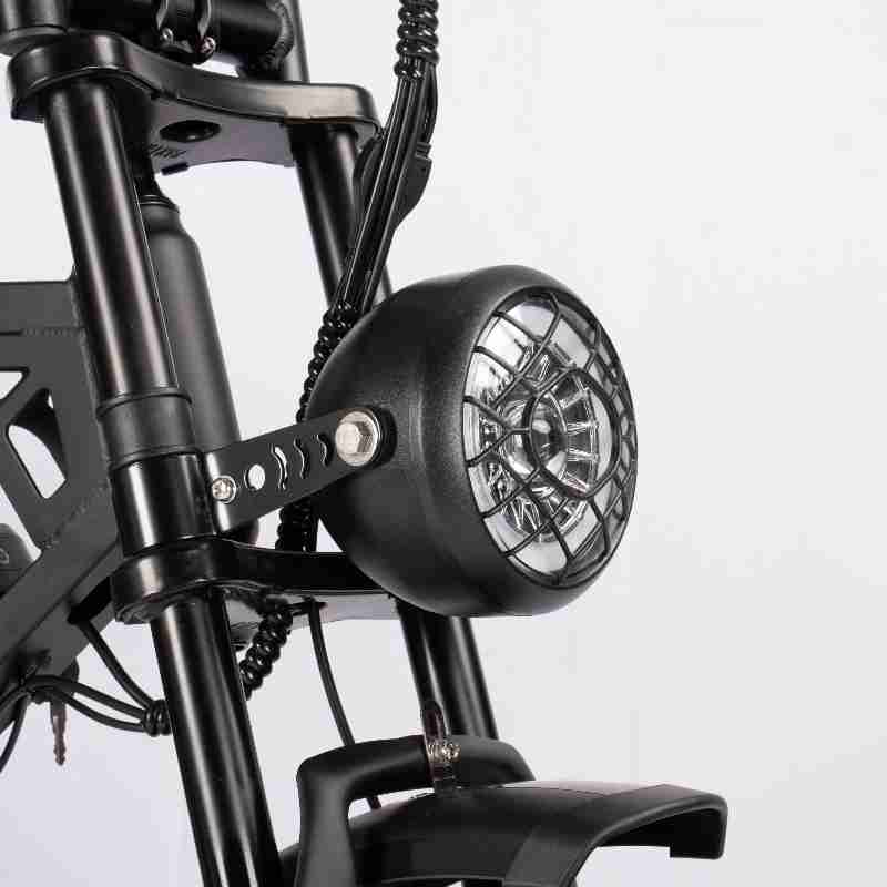 V20 Pro Fatbike